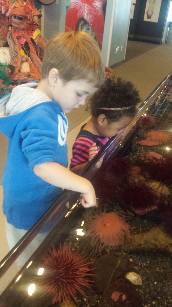 Touch Tank