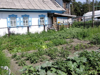 I'm borrowing this photo from the internet, but it very much reminds me of the bright shuttered houses of Kazakhstan. Many of them had large kitchen gardens covering their entire yard.