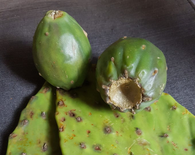 Prickly Pear Fruits and Nopale Leaves