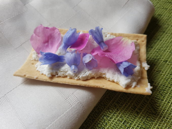 Cracker with Feta Cheese, Wild Rose Petals, and Bluebells