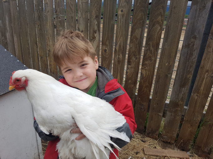 Nathan and a Chicken