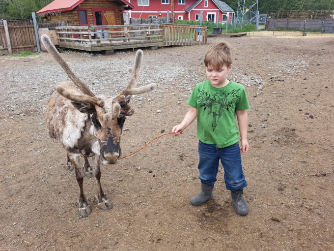 A Boy and His Reindeer