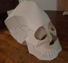 Paper Cut-Out Skull Model