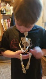 Baby Skelly from The Bones and Skeleton Book