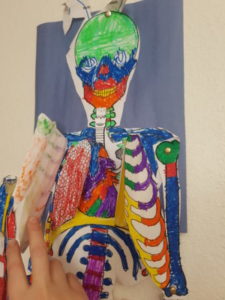 Paper Skeleton with Heart and Lungs