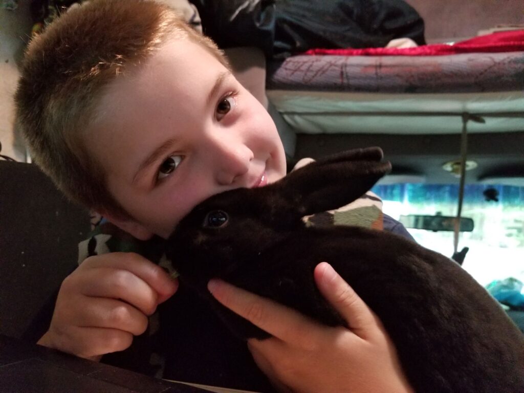 a boy and his black bunny